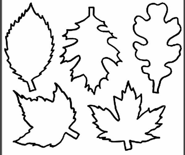 Осенние листья из бумаги: шаблоны и трафареты для вырезания